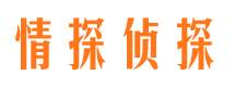 南沙私家侦探公司